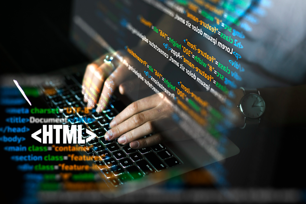 Top Web Development Languages To Use in 2024