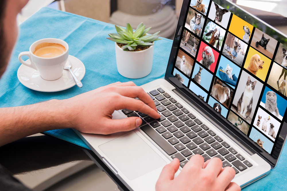 How Optimizing Images Boosts Your SEO Game