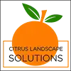 Citrus Landscape