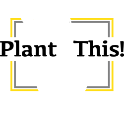 Plant This! Logo